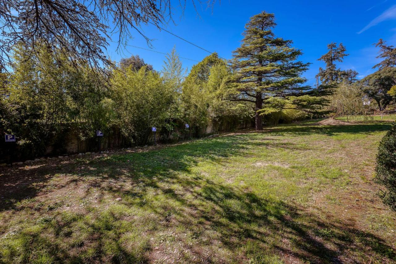 B&B En Provence- Villa Saint Marc Forcalquier Bagian luar foto